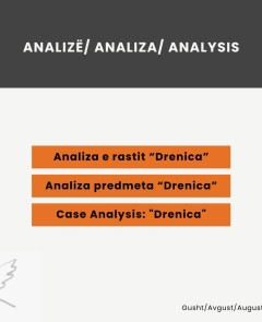 Analiza e rastit “Drenica”